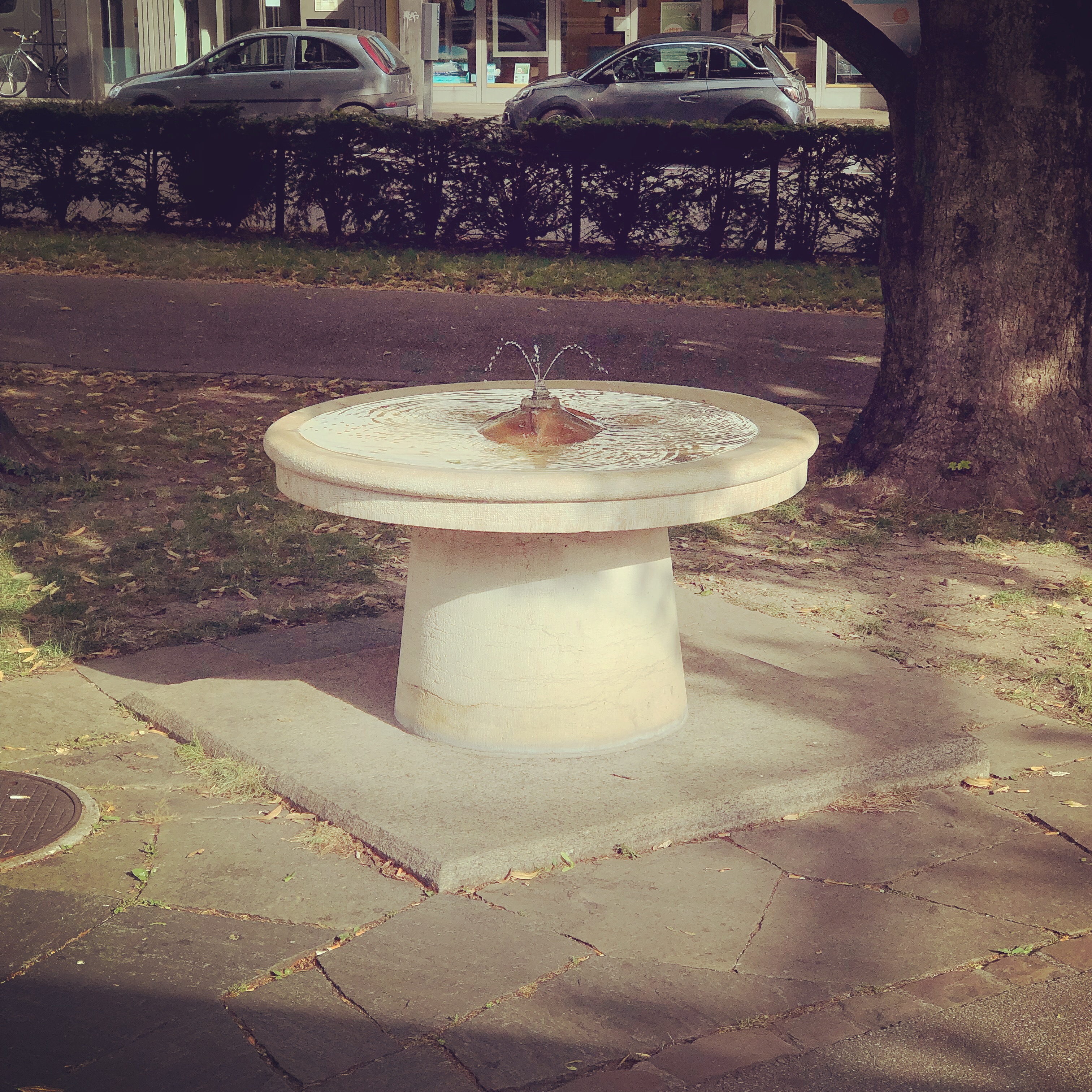 Refreshing fountain