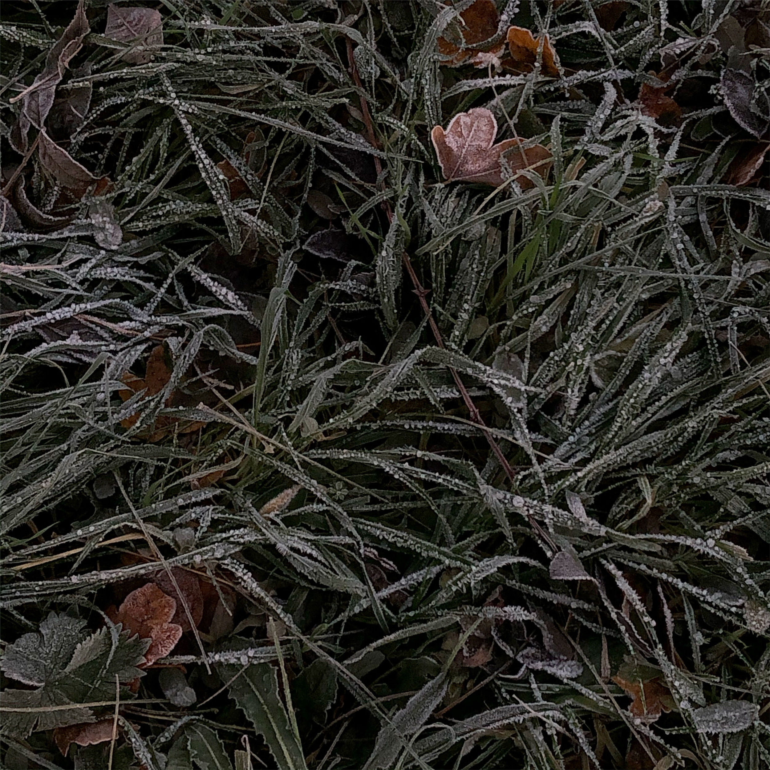 Frozen ground