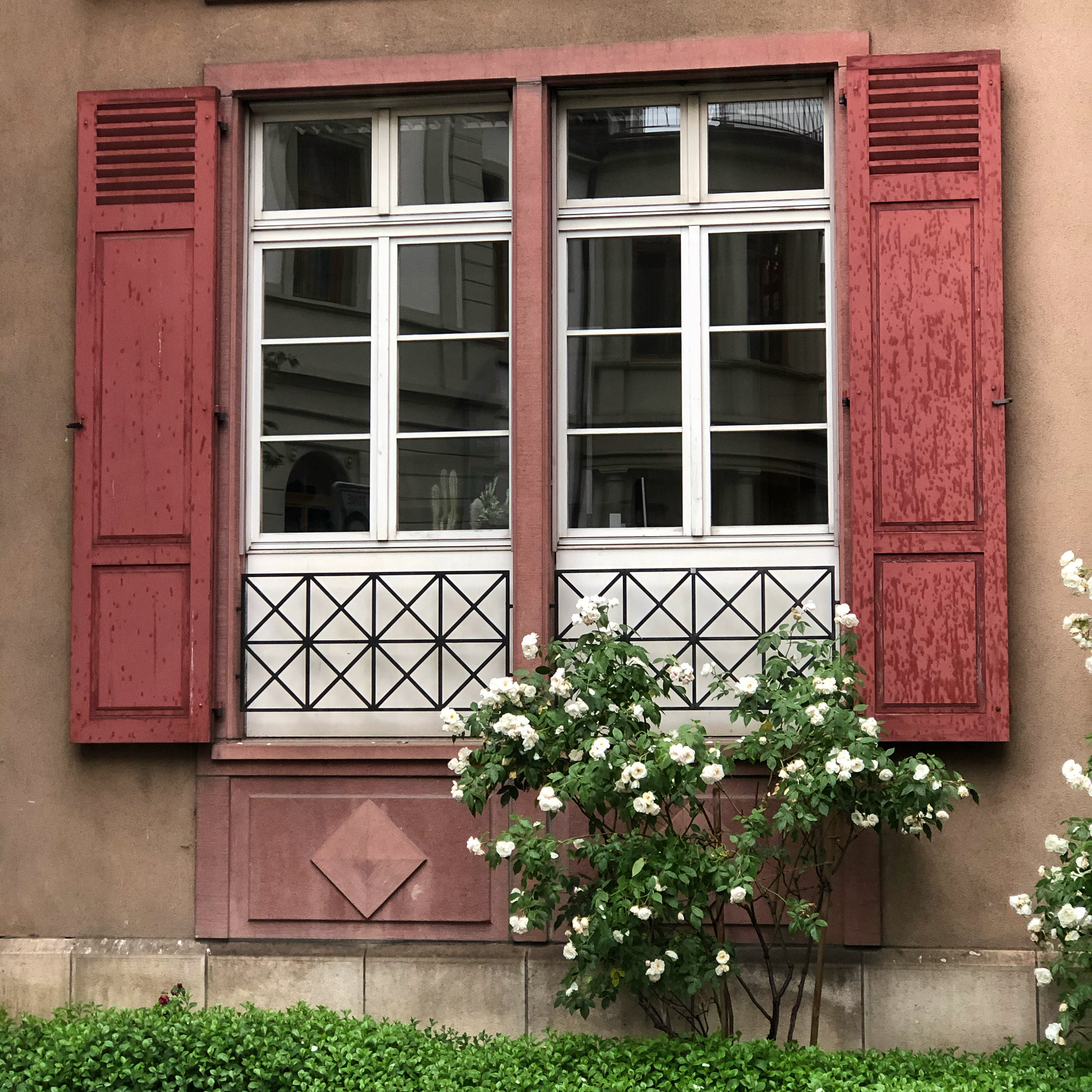 Rosy Window