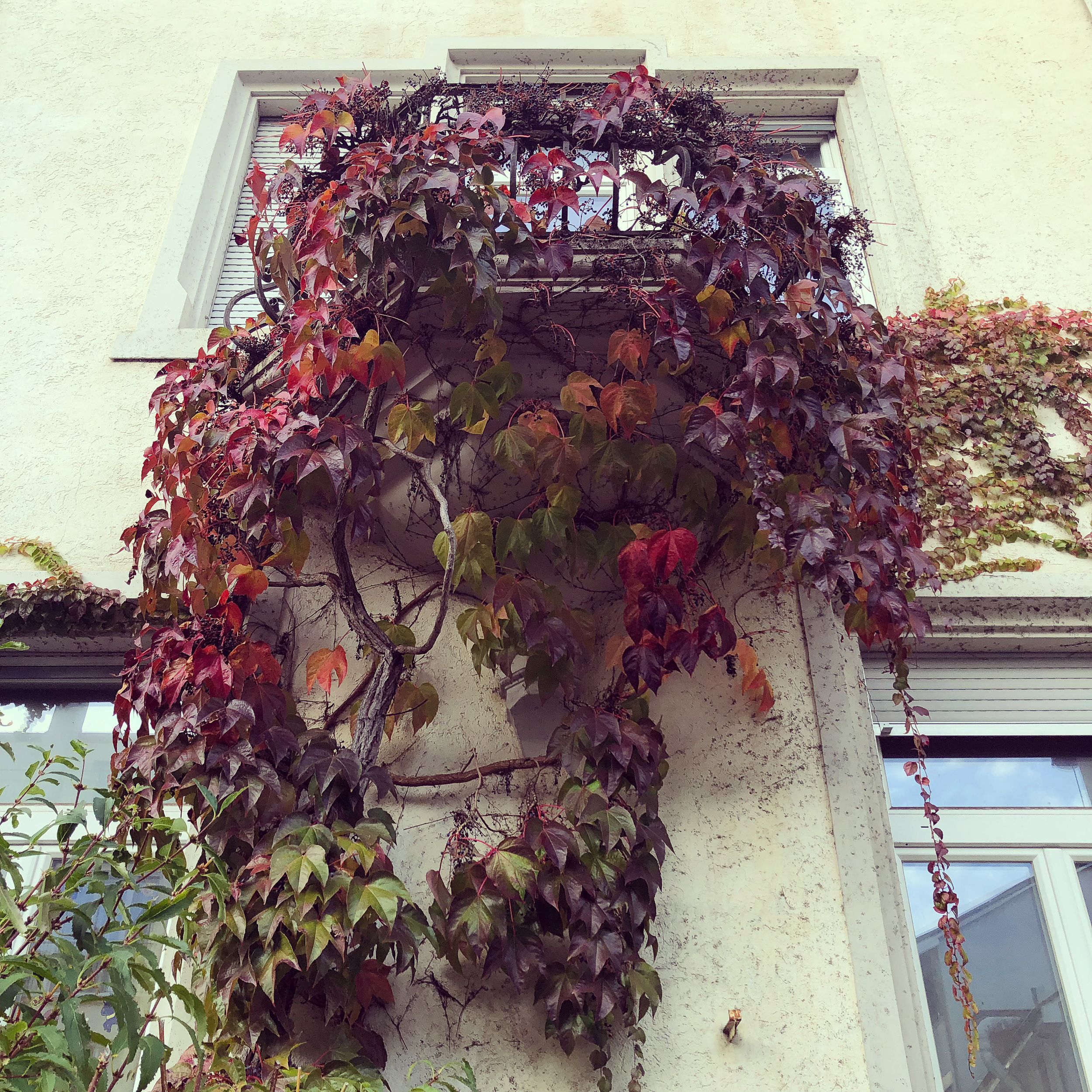 Autumn balcony
