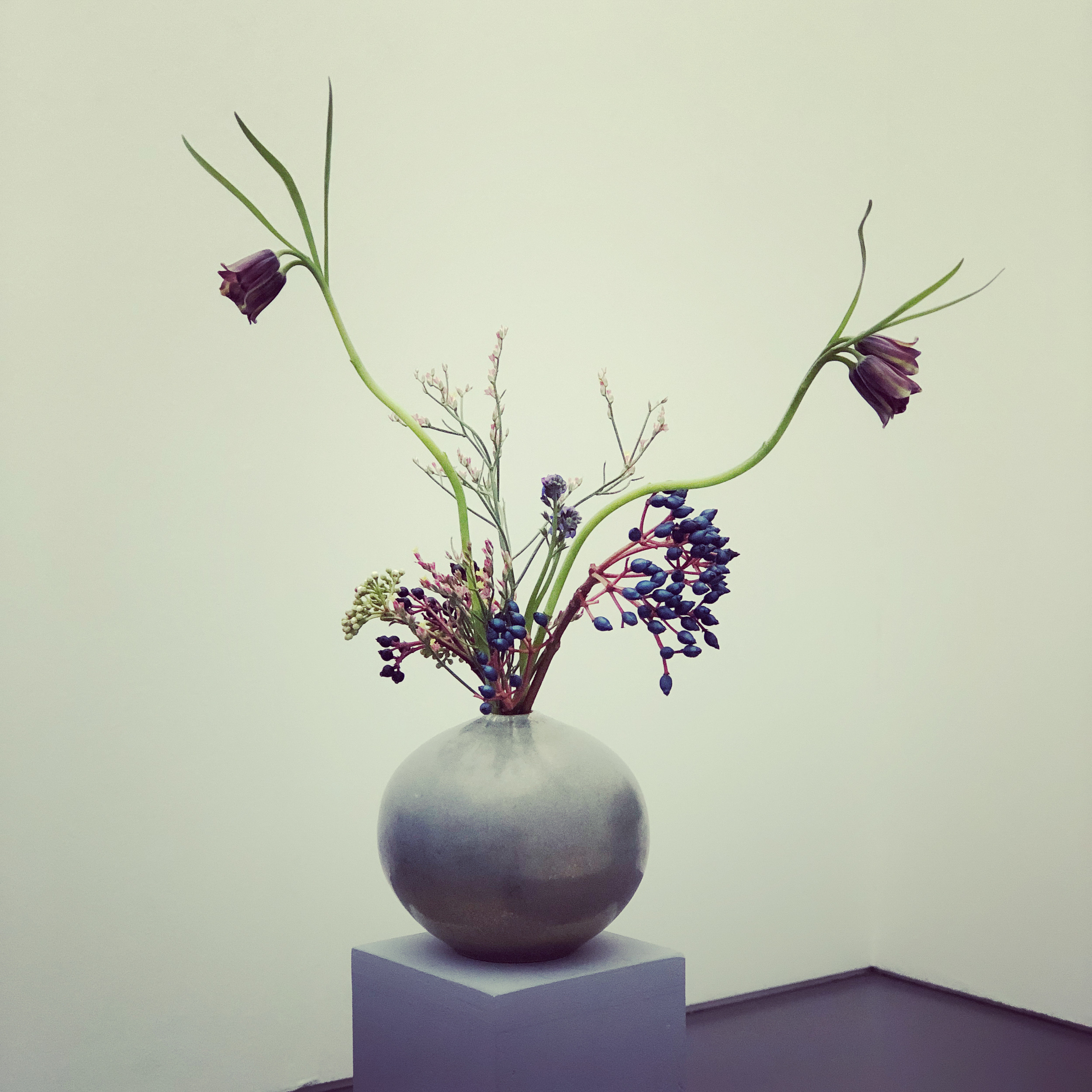 Flowers for art