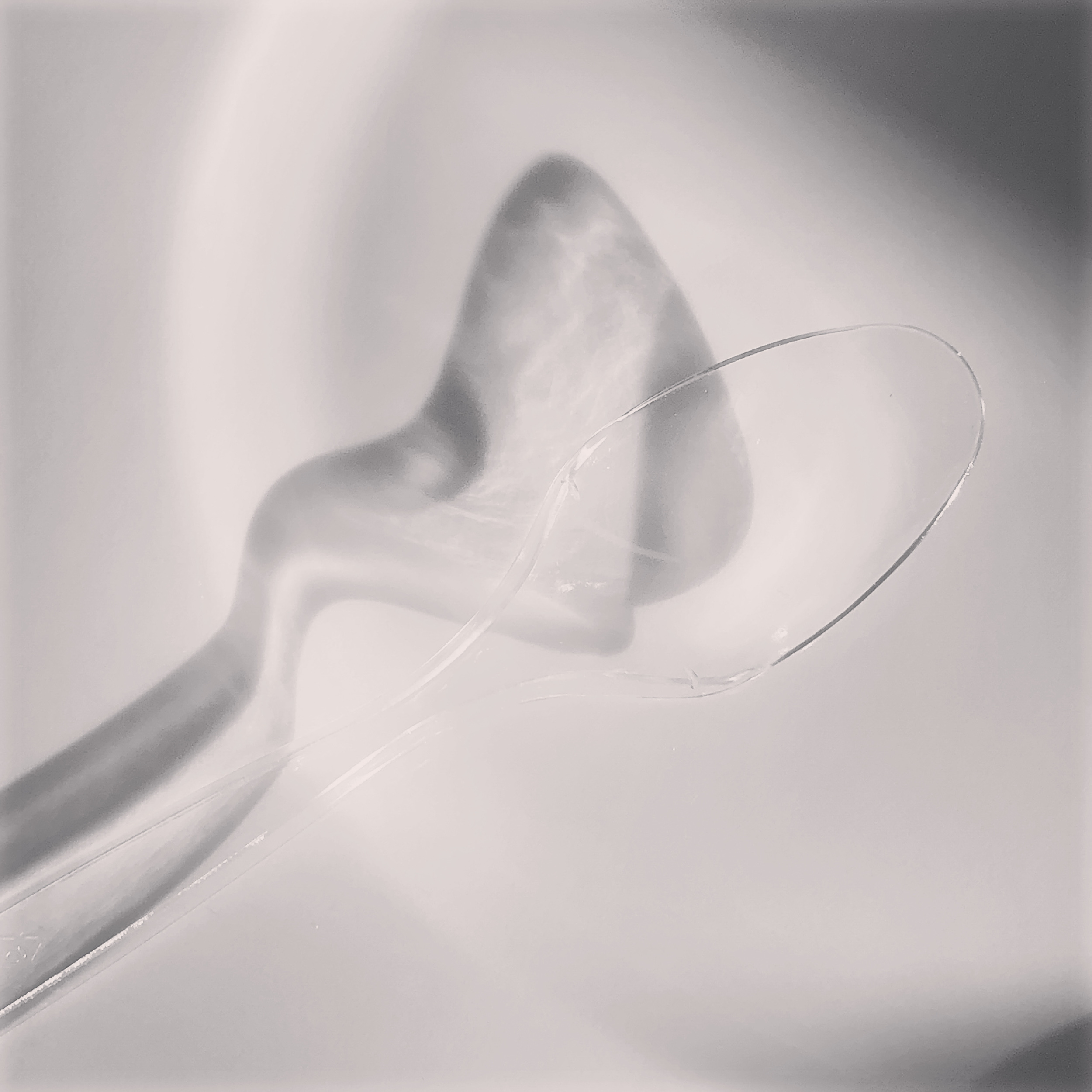 Dalí’s spoon