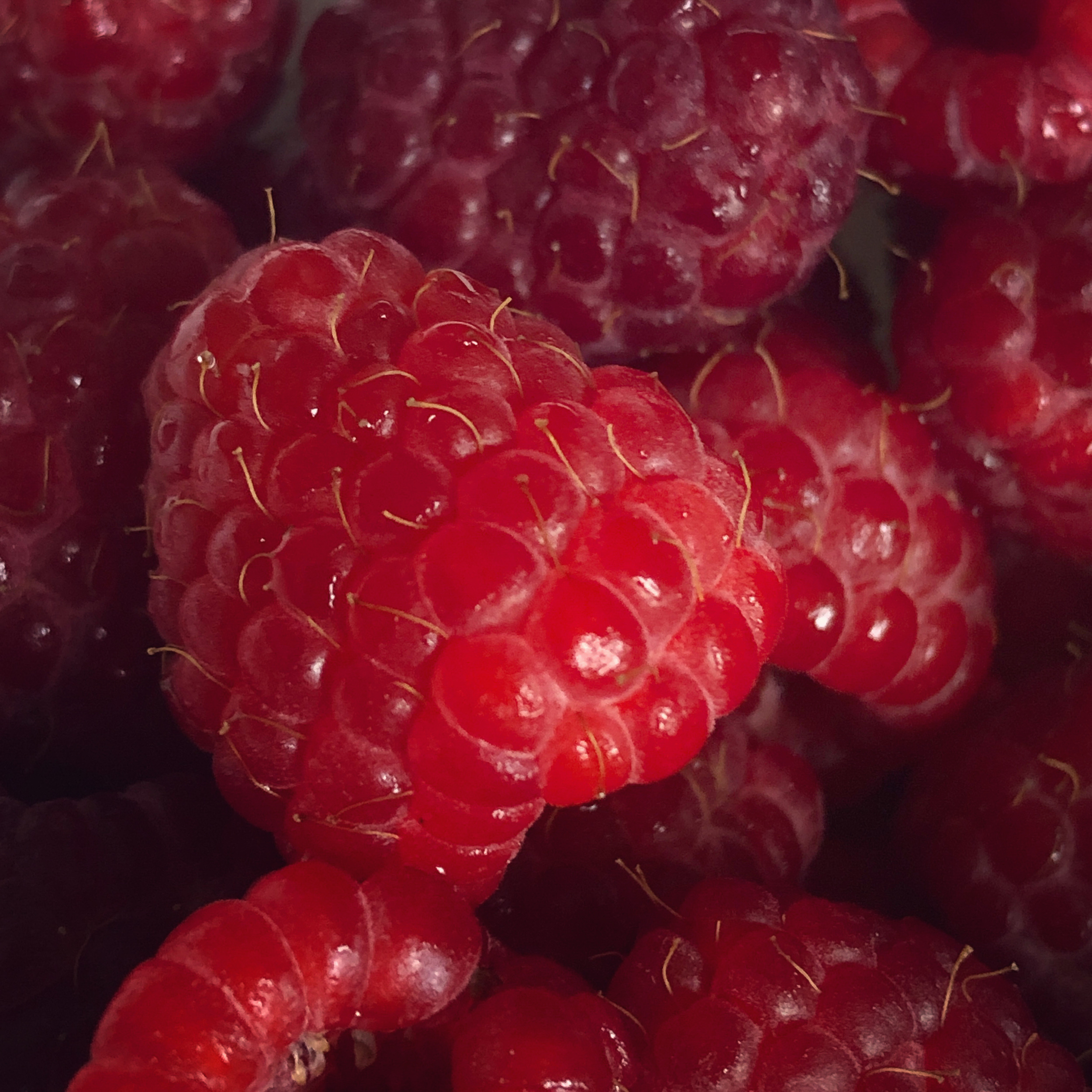 Raspberries